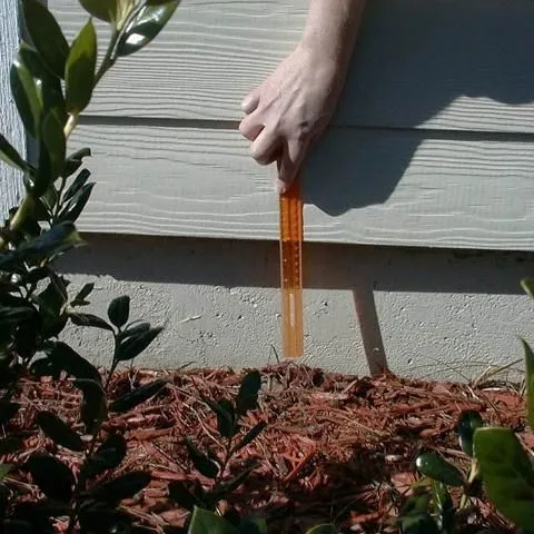 thumbnail for publication: The Facts About Termites and Mulch